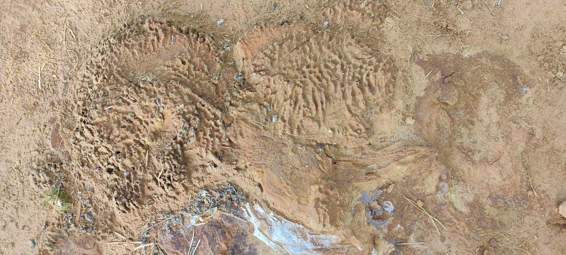 Dique de estériles del lavadero mineral — erosión