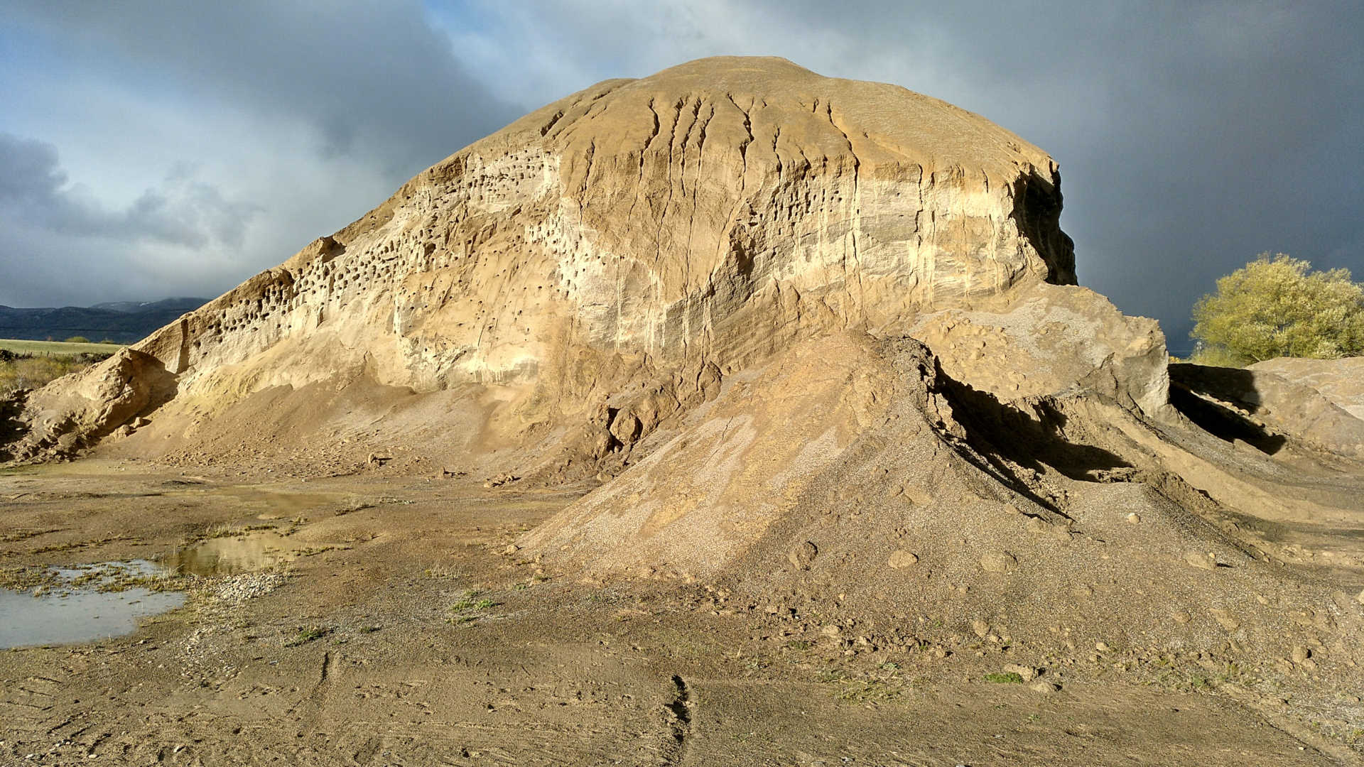 Nidos de aves en acopio de áridos en cantera