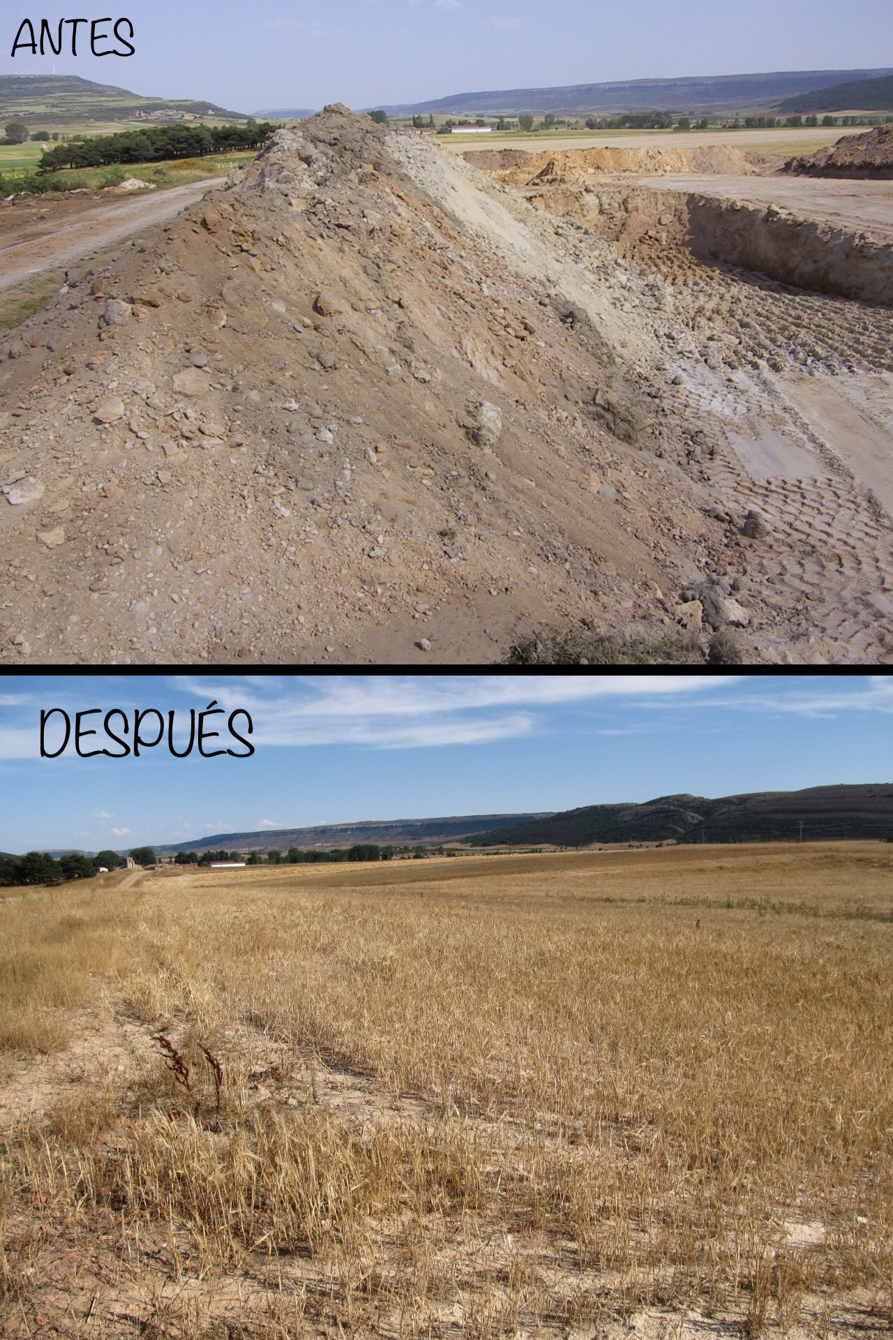 Restauración ambiental 1