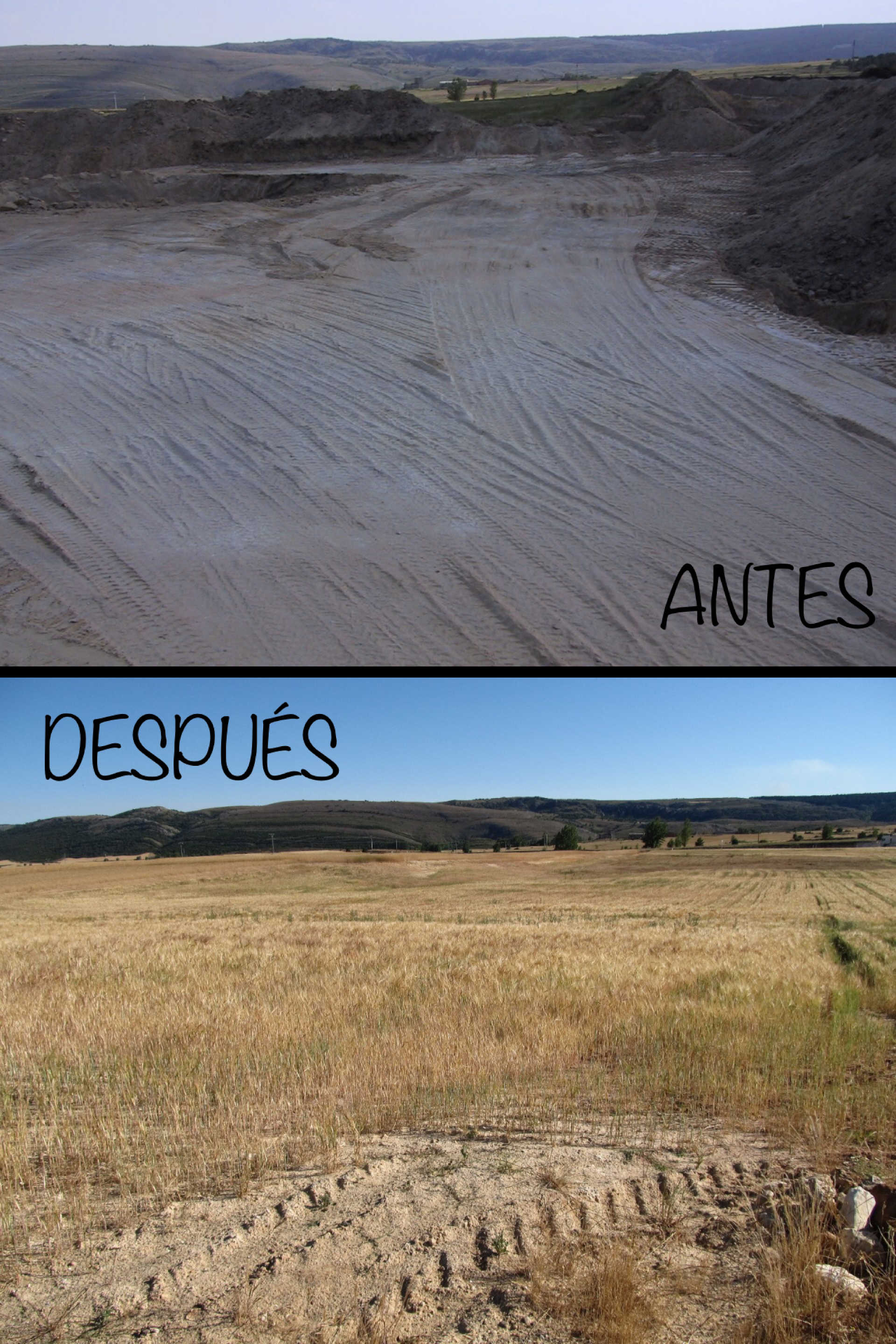 Restauración ambiental 2