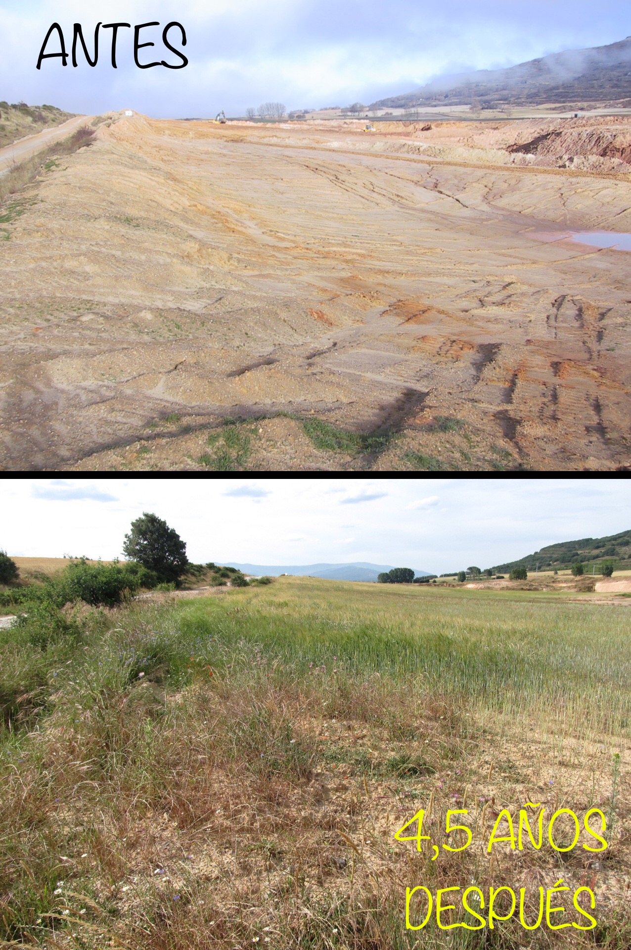 Restauración ambiental 3